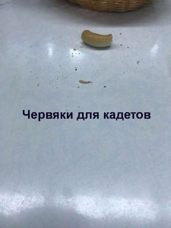 Беспозвоночные, от сушек до Светланы Маковской  adciak2im2ie2 qzeihxiqxieevls