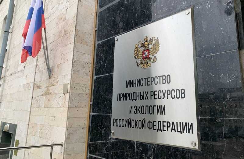 Министерство природных ресурсов Свердловской области не смогло взыскать миллиардные долги за аренду лесных участков